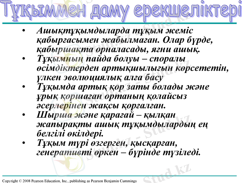 Slide 11