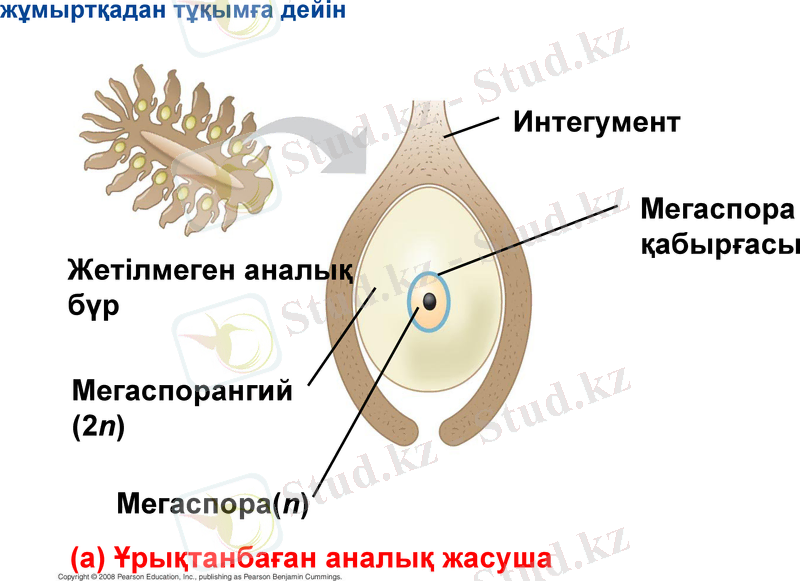 Slide 12