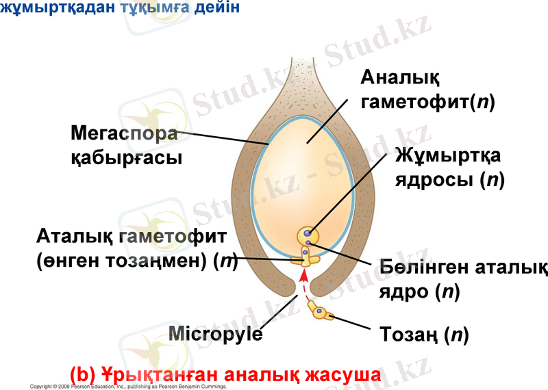 Slide 13