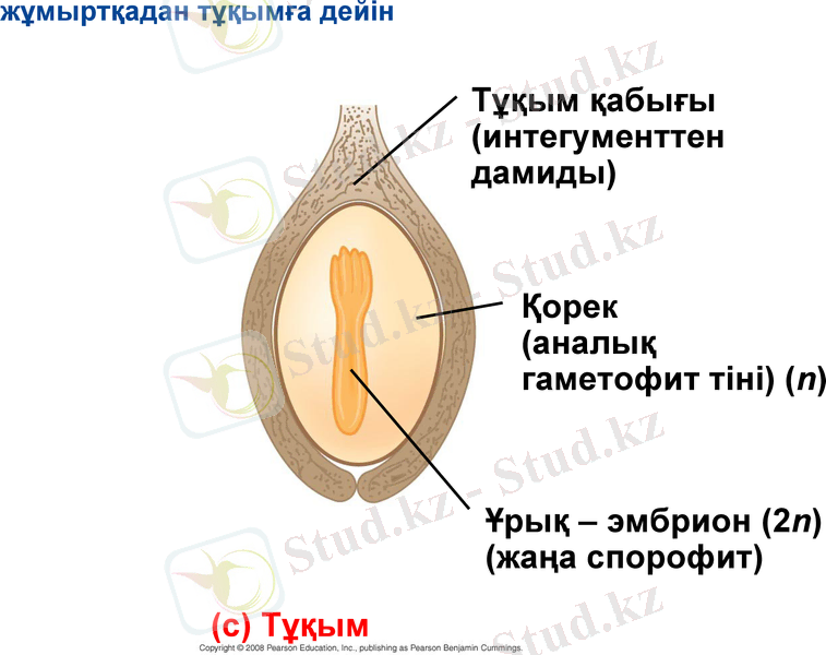 Slide 14
