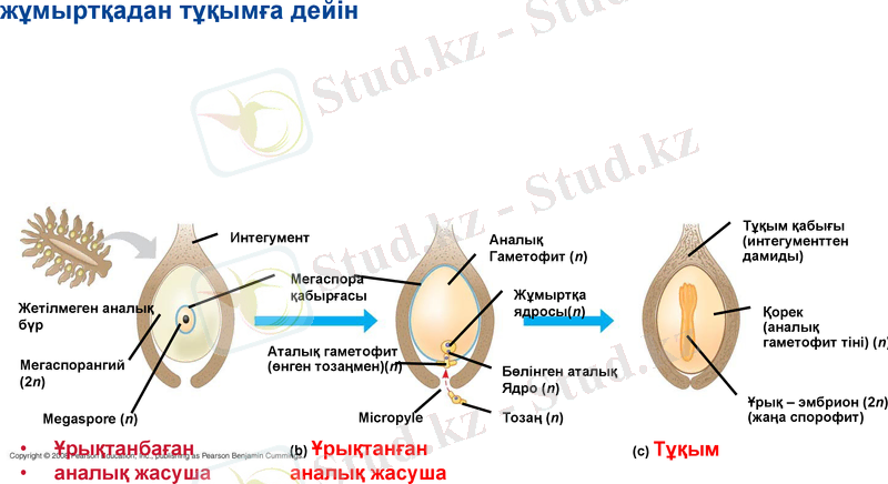 Slide 15