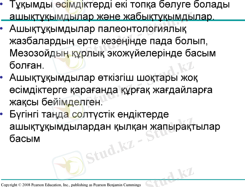 Slide 17