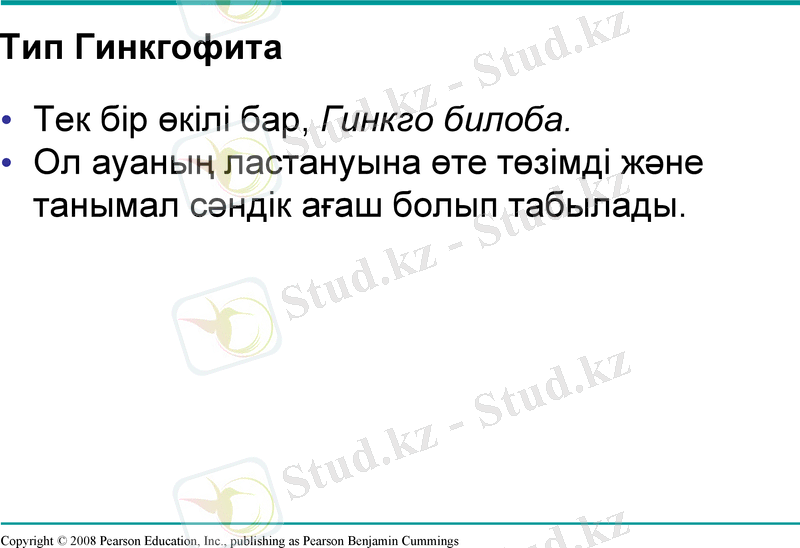 Slide 18
