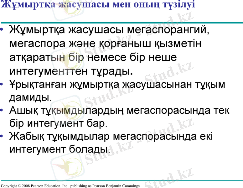 Slide 6