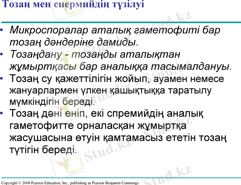 Slide 7