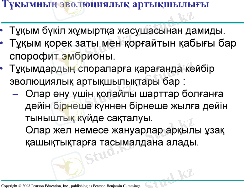 Slide 8