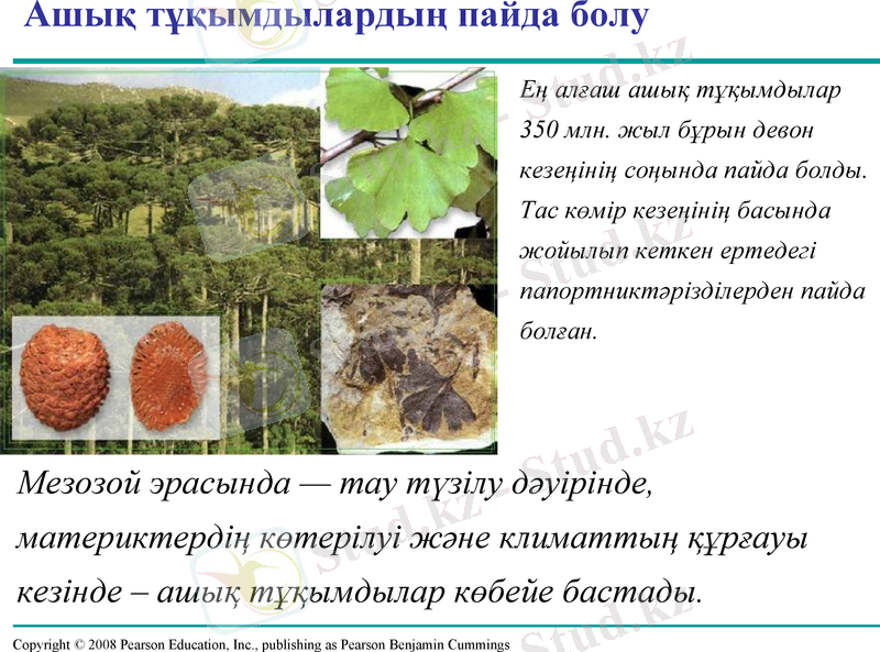 Slide 9