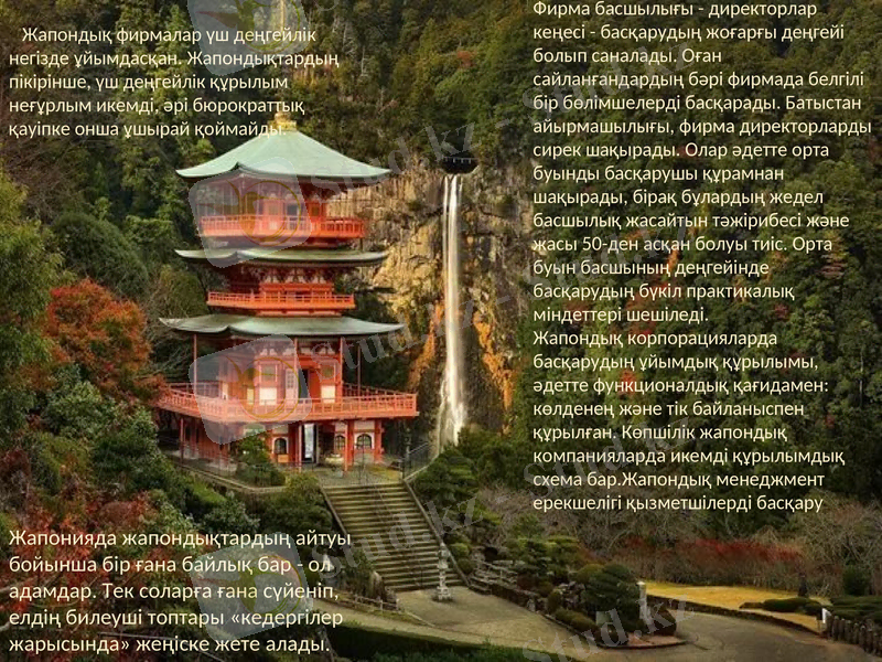 Slide 5
