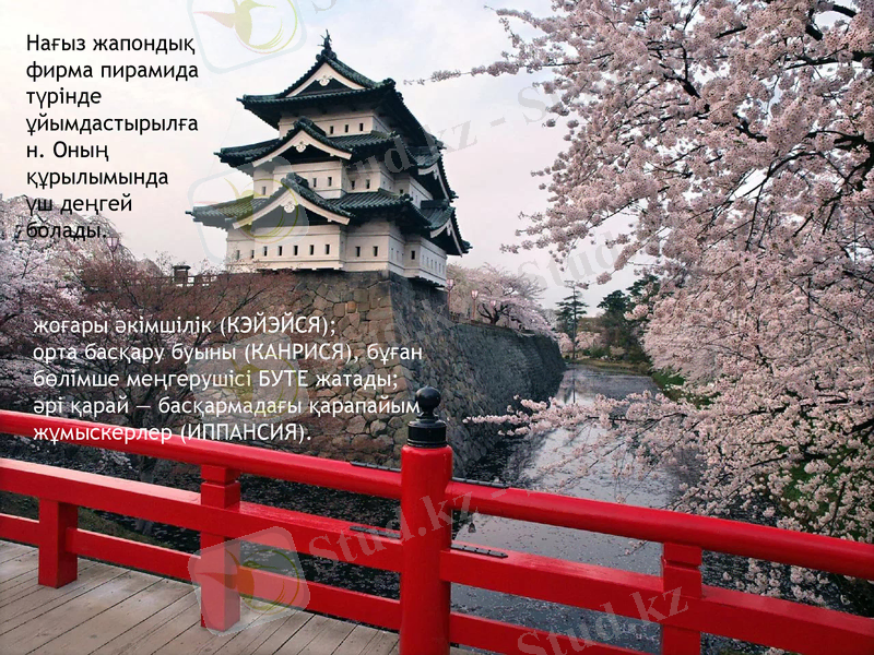 Slide 8