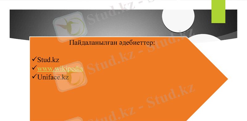 Slide 8