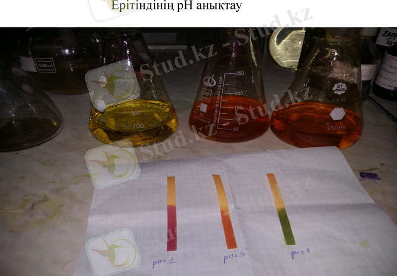 Slide 10