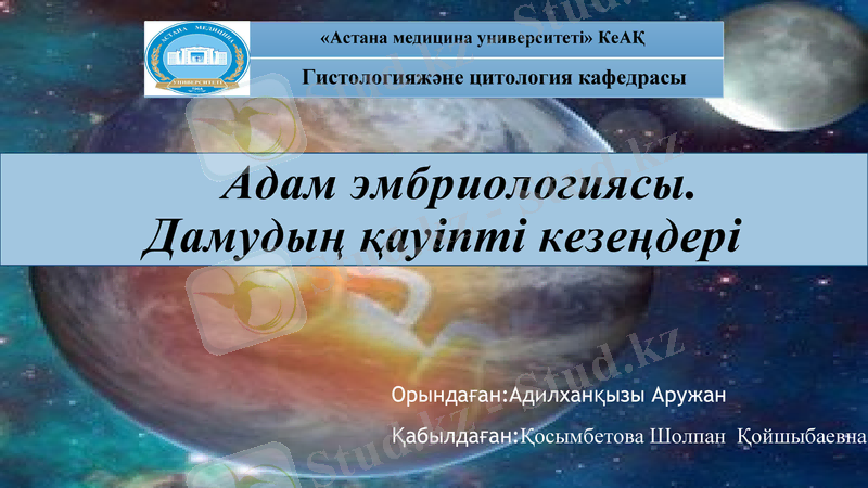 Slide 1