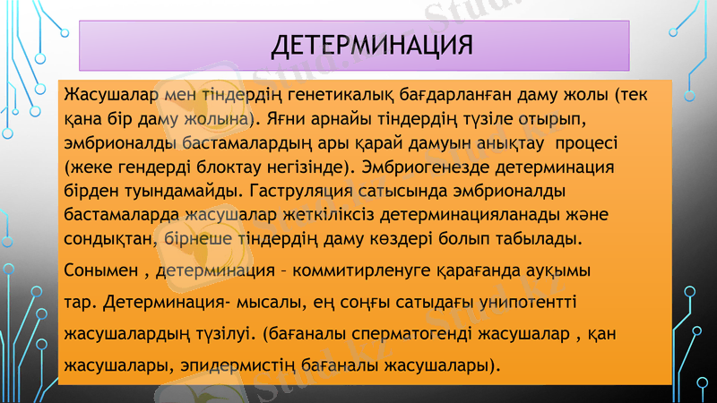 Slide 10