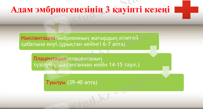 Slide 11