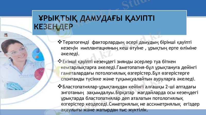 Slide 12