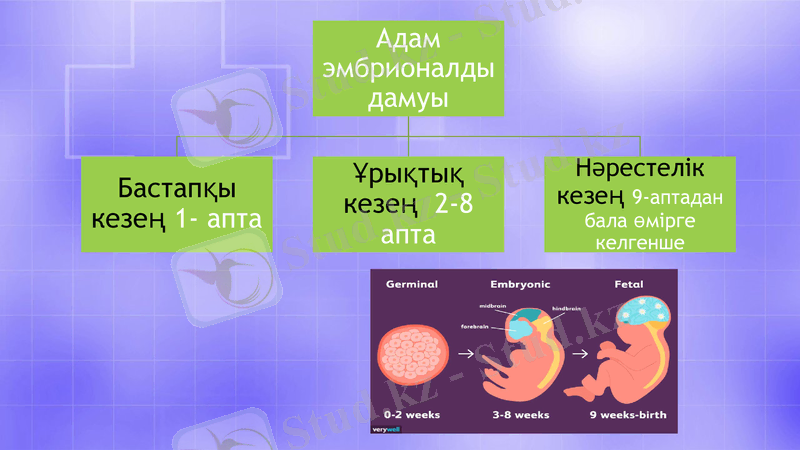 Slide 5