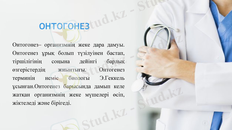 Slide 6