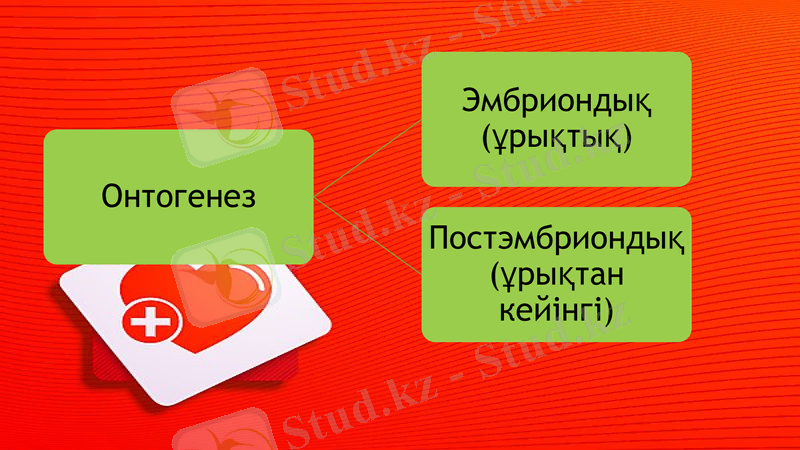 Slide 7