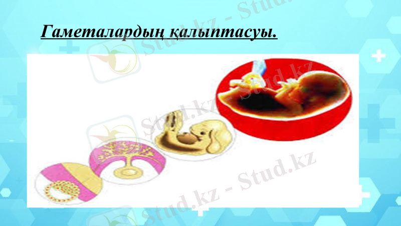 Slide 8