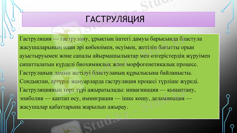 Slide 9