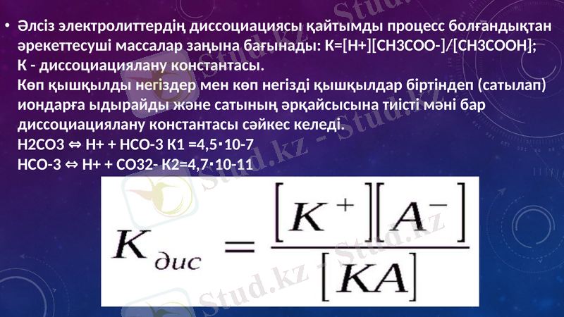 Slide 12