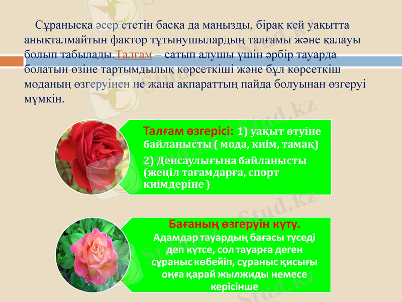 Slide 11