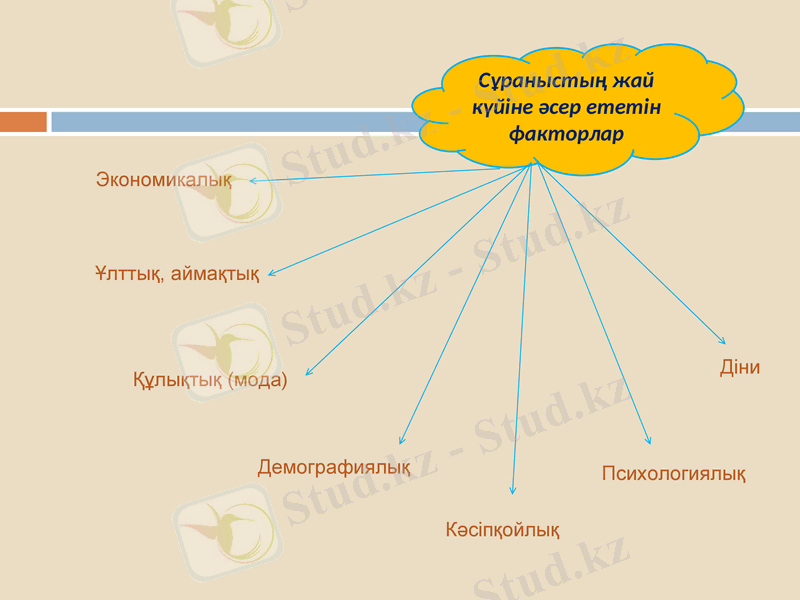Slide 8