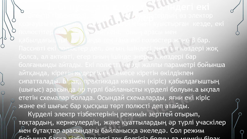 Slide 5