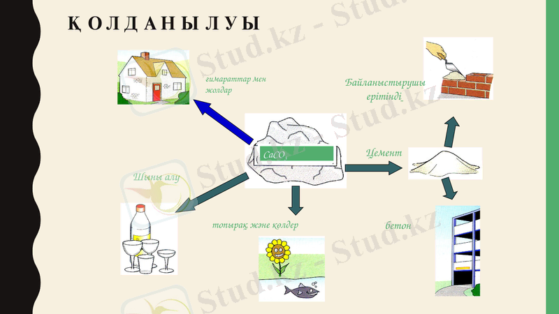 Slide 12
