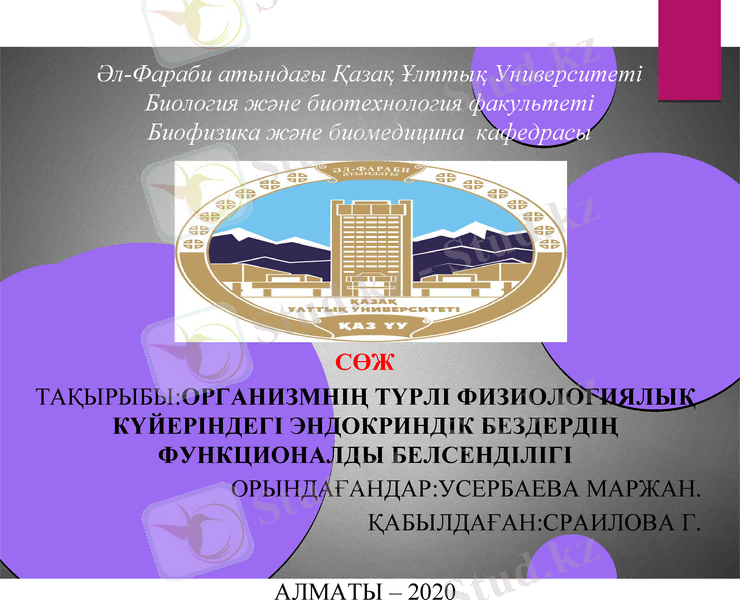Slide 1