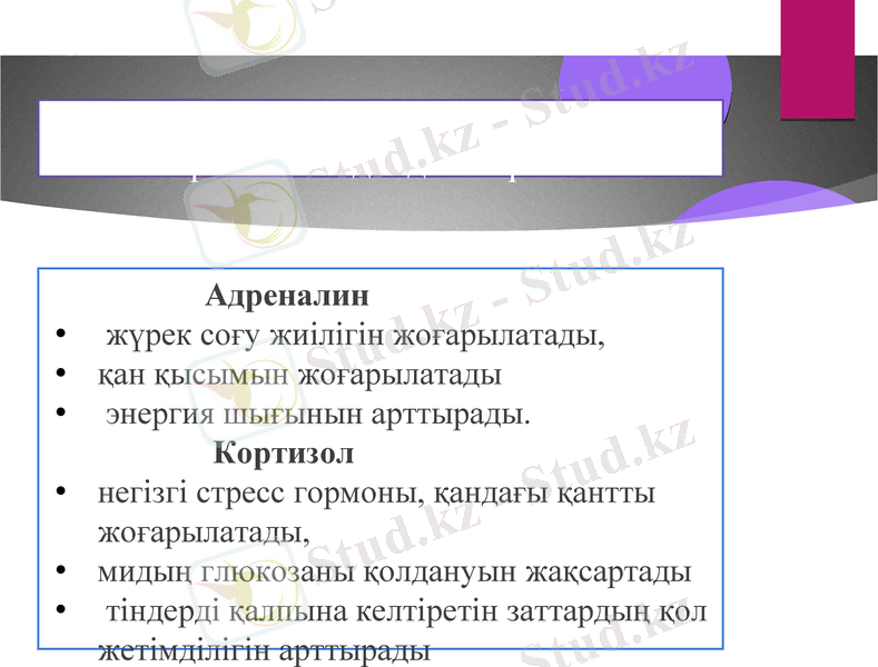 Slide 14