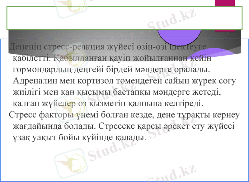 Slide 16