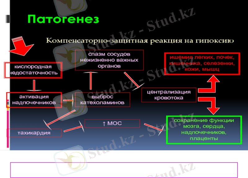 Slide 19