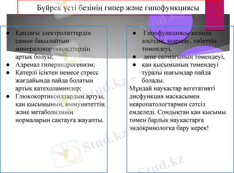 Slide 20