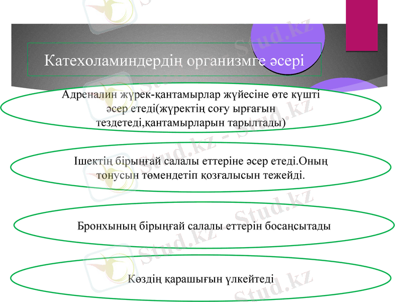Slide 7