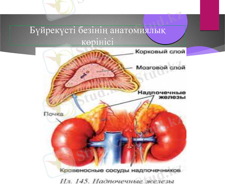 Slide 9