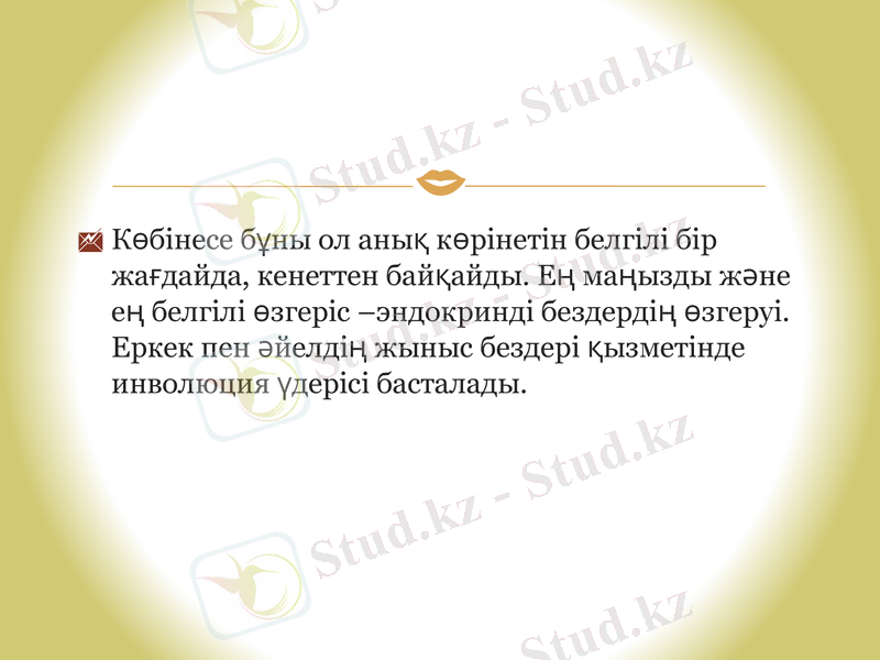 Slide 11