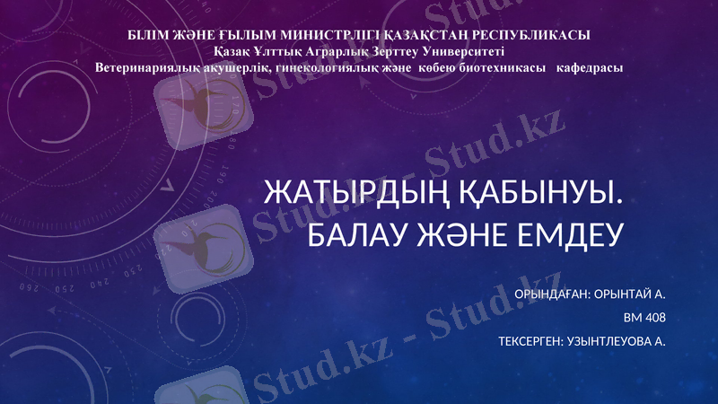 Slide 1