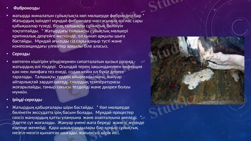 Slide 10
