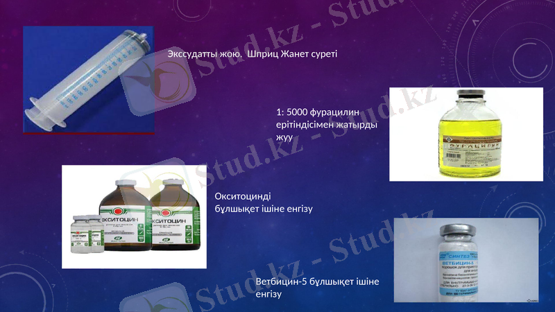 Slide 12