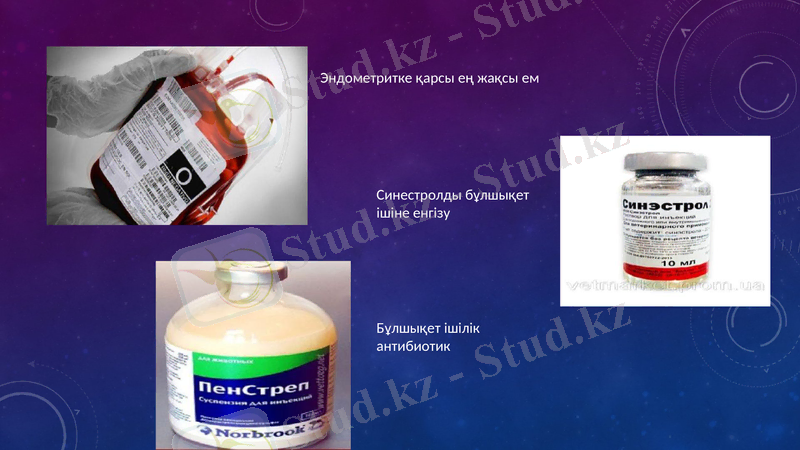 Slide 13