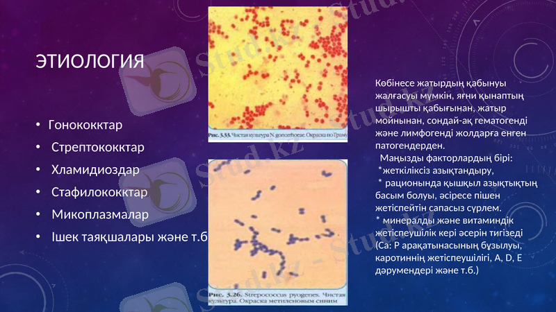 Slide 6