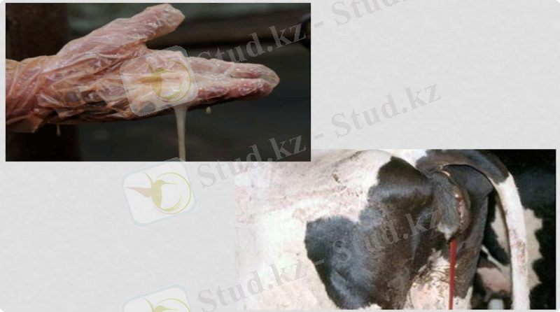 Slide 8