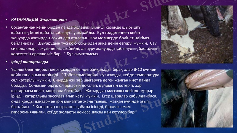 Slide 9