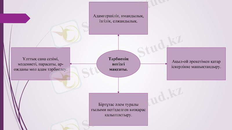 Slide 7