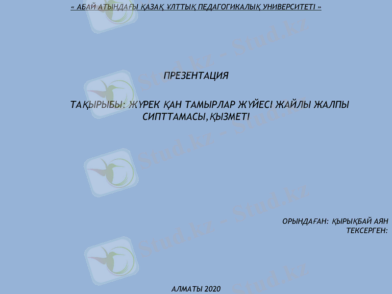 Slide 1