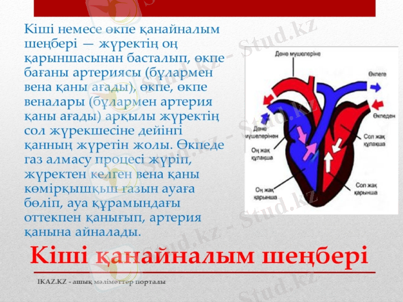 Slide 10