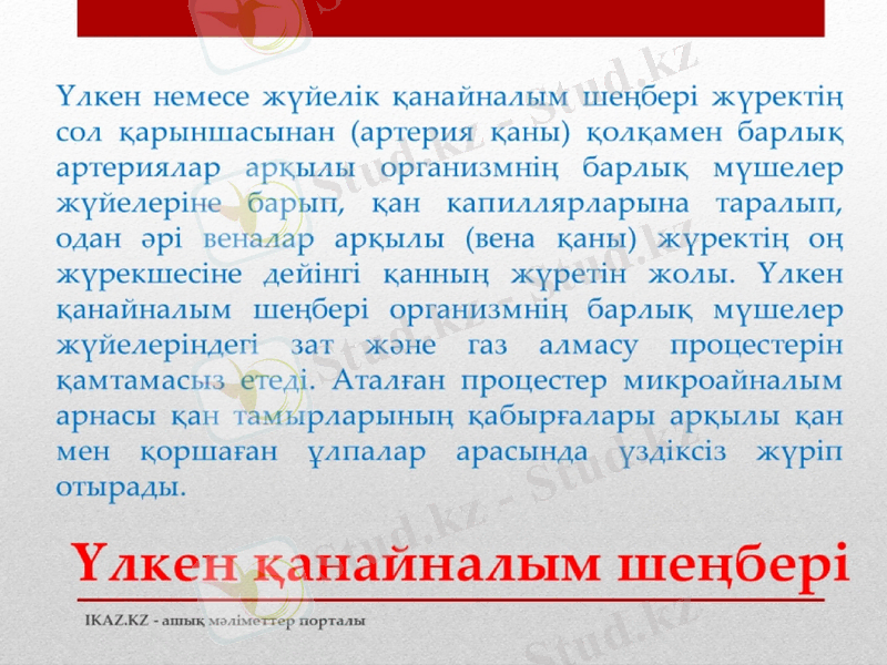 Slide 11