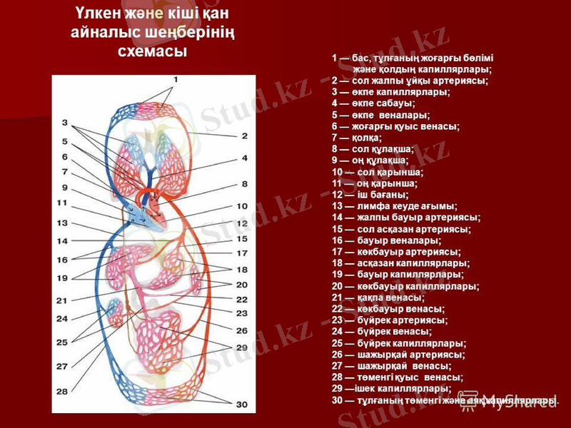 Slide 12