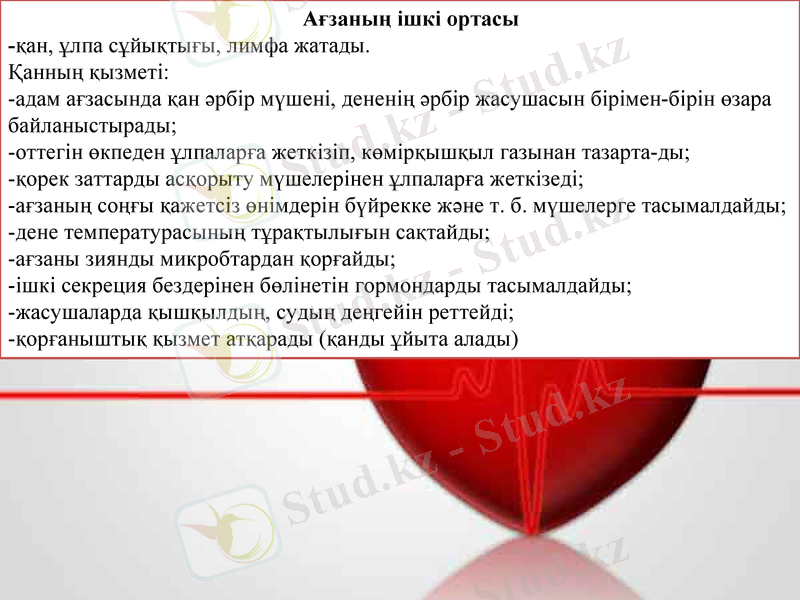 Slide 13